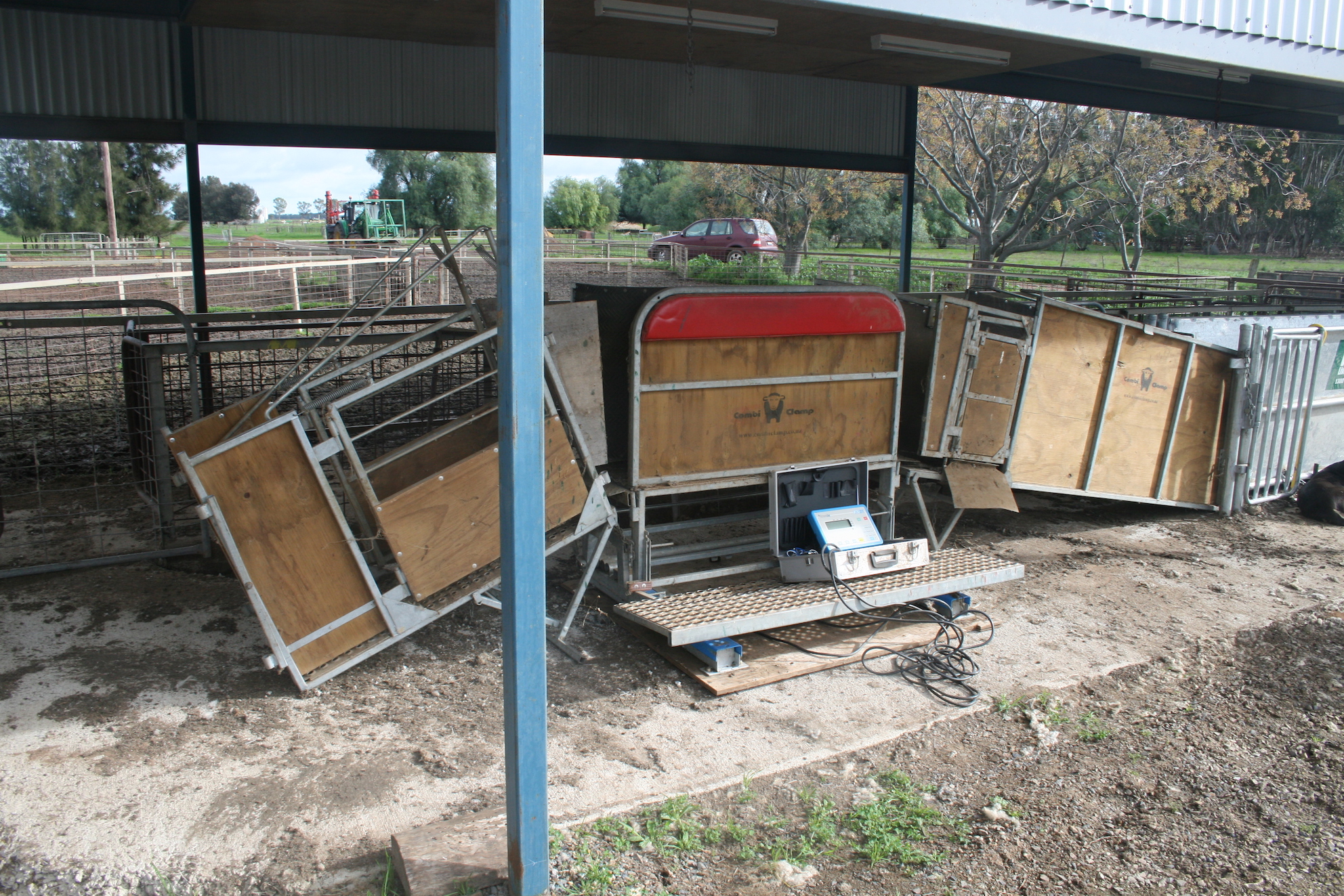 COMBI CLAMP Sheep Handler, In Very Good Condition. Livestock
